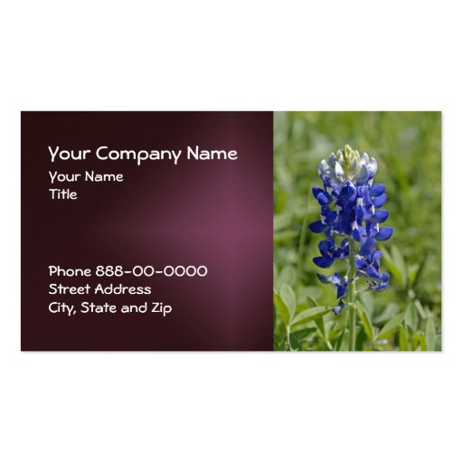 Texas Bluebonnet Wildflower Business Card (front side)