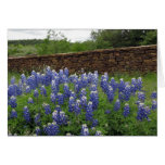 Texas Bluebonnets and Dry Stack Stone Wall Cards Texas Bluebonnets and Dry Stack Stone Wall Cards