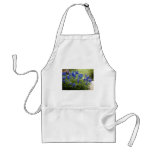Texas Bluebonnets