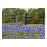 Texas Bluebonnets Greeting Card