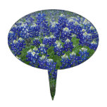 Texas Bluebonnets Field Photo Cake Toppers