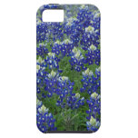 Texas Bluebonnets Field Photo iPhone 5 Case