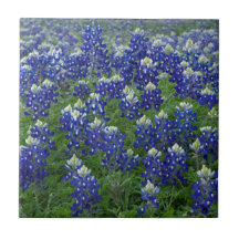 Texas Bluebonnets Field Photo Tile