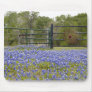 Texas Bluebonnets Mouse Mat