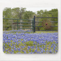 Texas Bluebonnets mousepads by psmart Texas Bluebonnets mousepads
