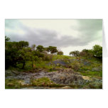 Texas Bluebonnets on Hill side Card Texas Bluebonnets on Hill side Card