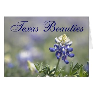 Texas Bluebonnets Photograph Series #10 card