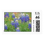 Texas Bluebonnets Stamps