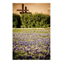 Texas Bluebonnets posters