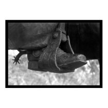 Texas Boot posters