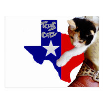 Texas Cat Post Card postcards