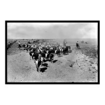 Texas Cattle Drive posters by Texas Texas Cattle Drive posters