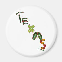 Texas Chili Peppers Fridge Magnet