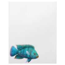 Texas Cichlid Fish Letterhead
