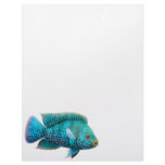 Texas Cichlid Fish Letterhead
