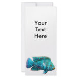 Texas Cichlid Fish Rack Card
