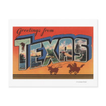 Texas (Cowboy Roping Bull)Large Letter Scenes Post Cards