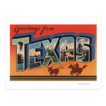 Texas (Cowboy Roping Bull)Large Letter Scenes Post Cards