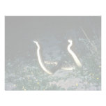 Texas Diamondback Rattlesnakes Invitations