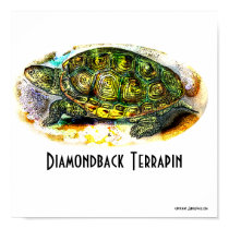 Texas-Diamondback-Terrapin Poster from Junglewalk posters by junglewalkcom Texas-Diamondback-Terrapin Poster from Junglewalk posters