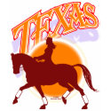 Texas dressage sunrise shirt F/B
