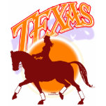 Texas dressage sunrise shirt F/B