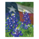Texas flag bluebonnets poster posters