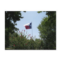 Texas Flag Postcard