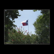 Texas Flag Postcard