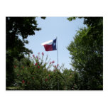 Texas Flag Postcard