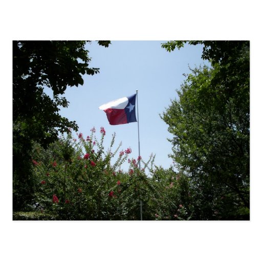 Texas Flag Postcard