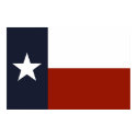 Texas Flag Poster posters