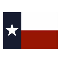 Texas Flag Poster posters