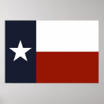 Texas Flag Print