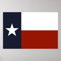 Texas Flag Print