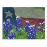 Texas flag with bluebonnets postcards