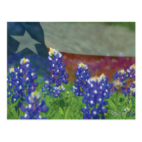Texas flag with bluebonnets postcard