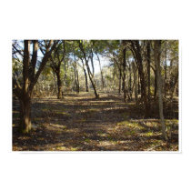 Texas Forest posters by EmilieA Texas Forest posters