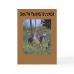 Texas Greeting Cards!