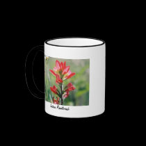 Texas Indian Paintbrush mugs