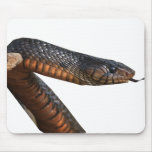 Texas Indigo Snake Mouse Pad