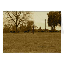 Texas Landscape Card