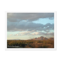 Texas Landscape Postcard