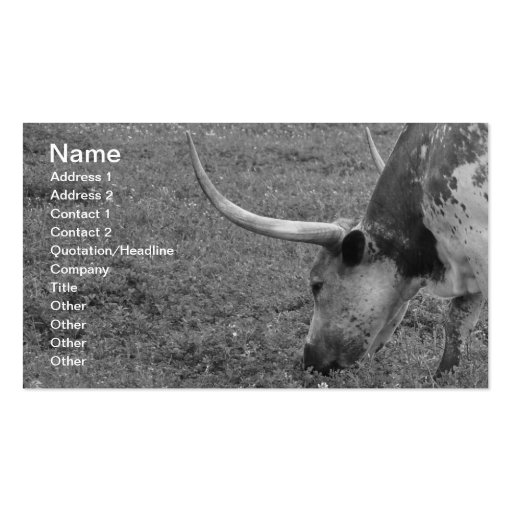 Texas Longhorn black and white business card (front side)