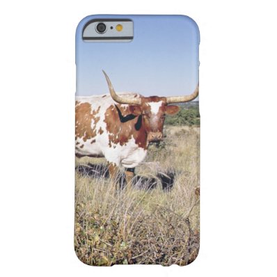 Texas Longhorn Breed (photo) Barely There iPhone 6 Case