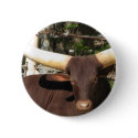 Texas Longhorn cattle buttons by all_creatures Texas Longhorn cattle buttons