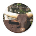 Texas Longhorn cattle magnets by all_creatures Texas Longhorn cattle magnets
