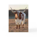 Texas Longhorn Note Card