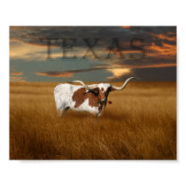 Texas Longhorn Poster posters