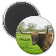 Texas Longhorn Round Magnet